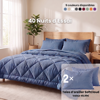 Couette Toutes Saisons 2-en-1 — Couette & Housse Réunies