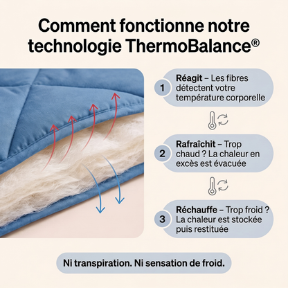 Couette Toutes Saisons 2-en-1 — Couette & Housse Réunies
